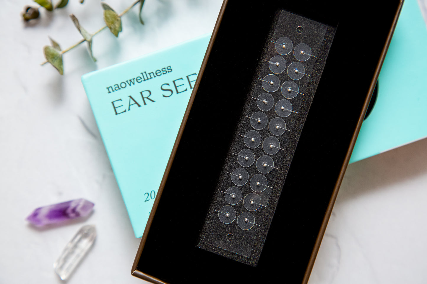 Stainless Steel 20 PC Ear Seed Kit - Pack of 2