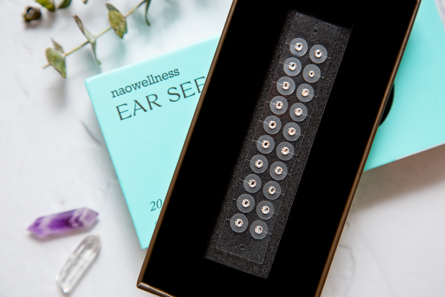 Clear Crystal 20 PC Ear Seed Kit