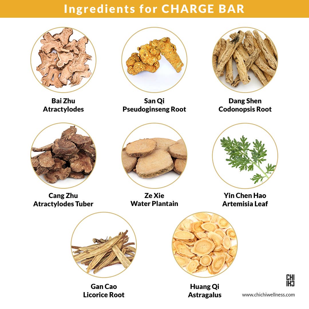CHARGE Bars Pack (10 bars total) Vegan Herbal Chocolate Bars