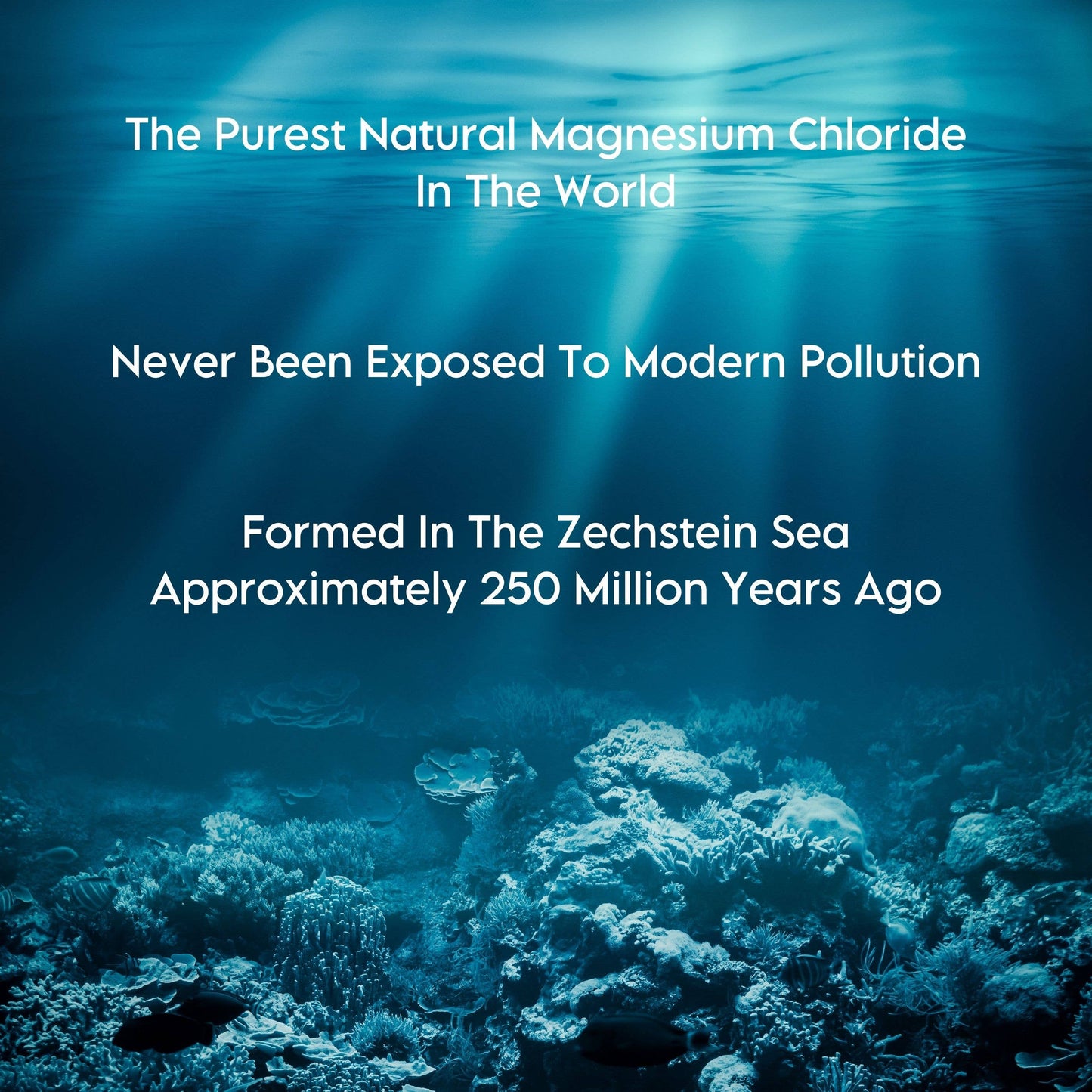 1 lb Deep Sea Minerals™ Zechstein Magnesium Chloride Flakes