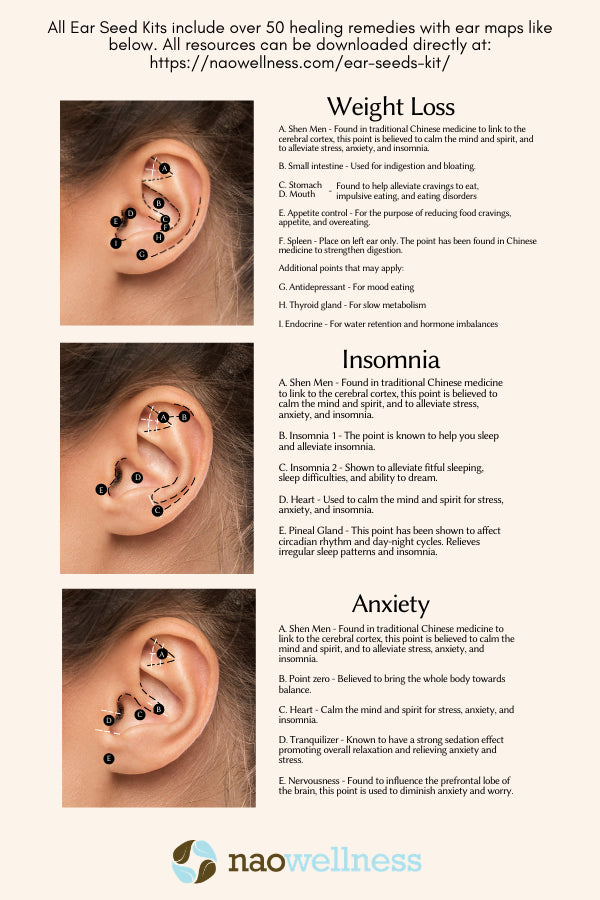 Stainless Steel 20 PC Ear Seed Kit - Pack of 2