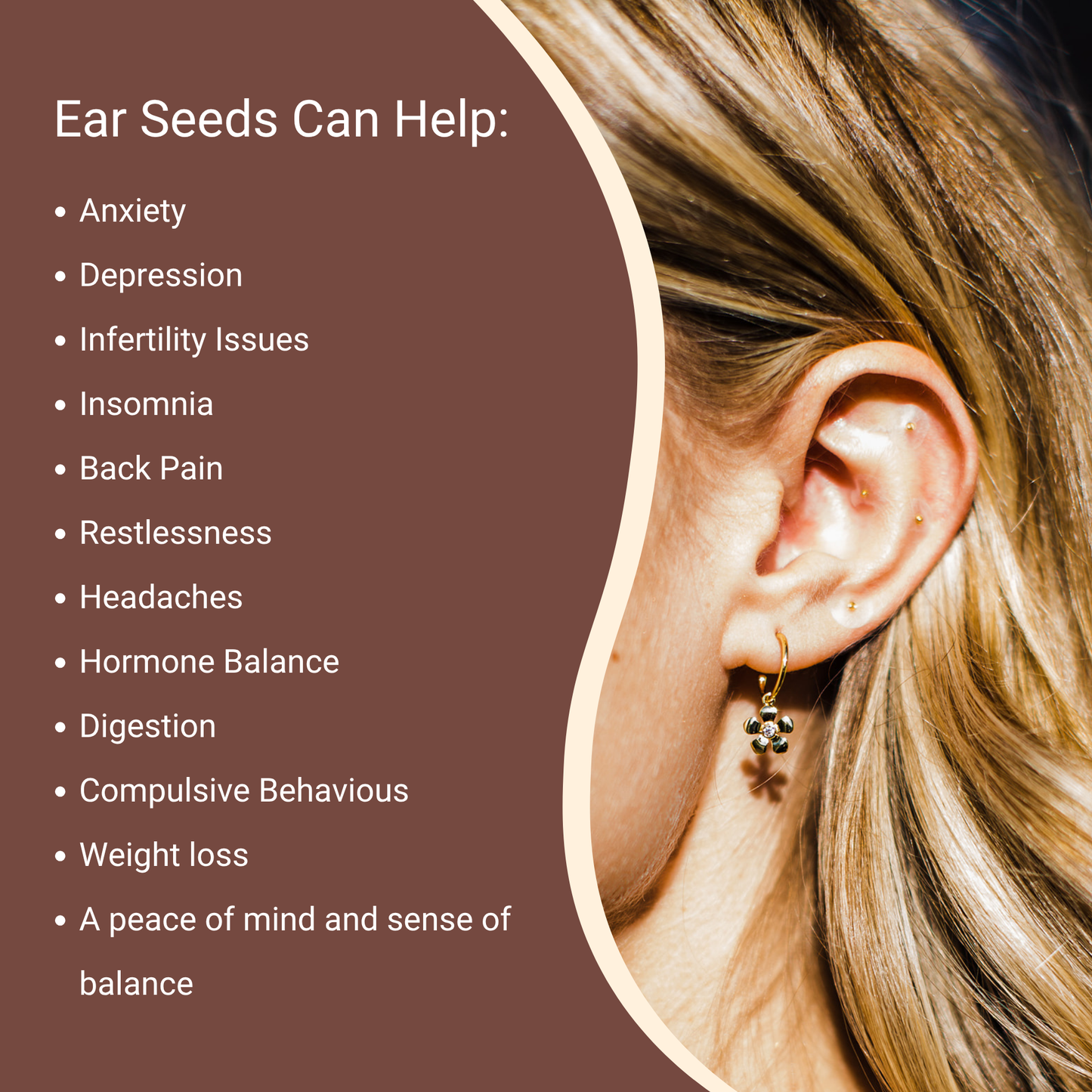 24K Gold Ear Seed Strips in Bulk @ Wholesale Prices